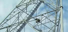 Cellular Antenna Tower