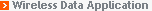 Wireless Data Application